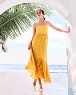 Ramy Brook Devyani Strapless Maxi Dress Daisypleats New